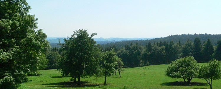 Panoramablick vom Wohnzimmer und Balkon